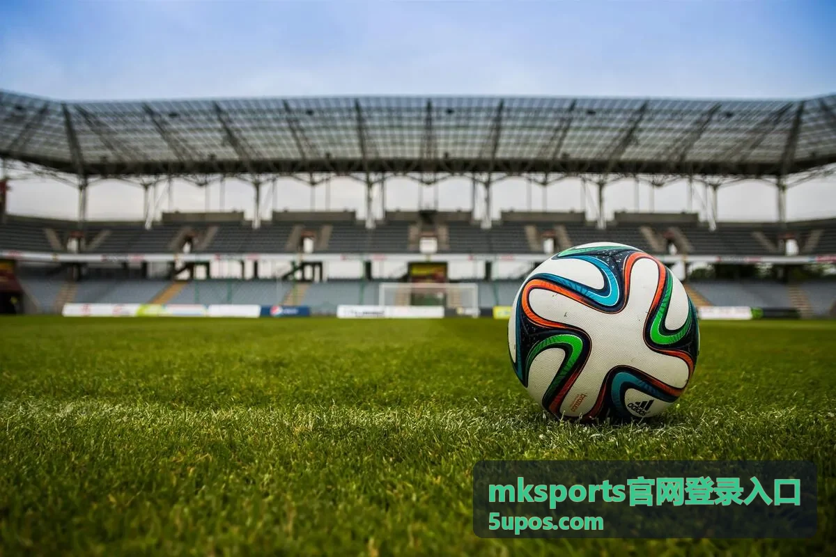 mksports官网登录入口通道说明页面的夜间场馆灯光场景