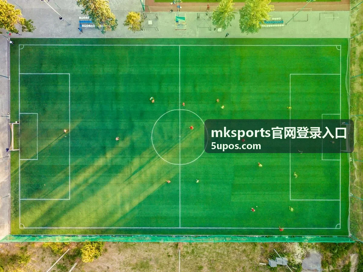 登录入口核对要点汇总的说明配图